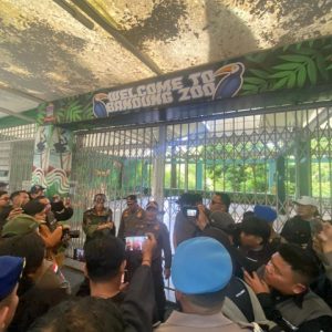 IMG-20260205-WA0037_480x640